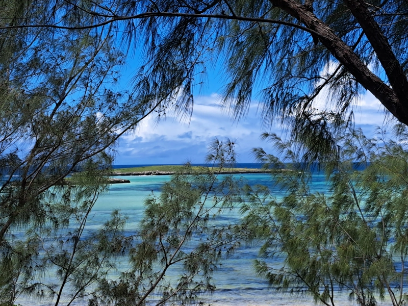 Madagascar19 - madagascar