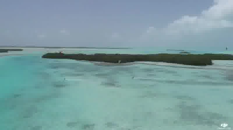 VID 20260818 WA0028 - los-roques